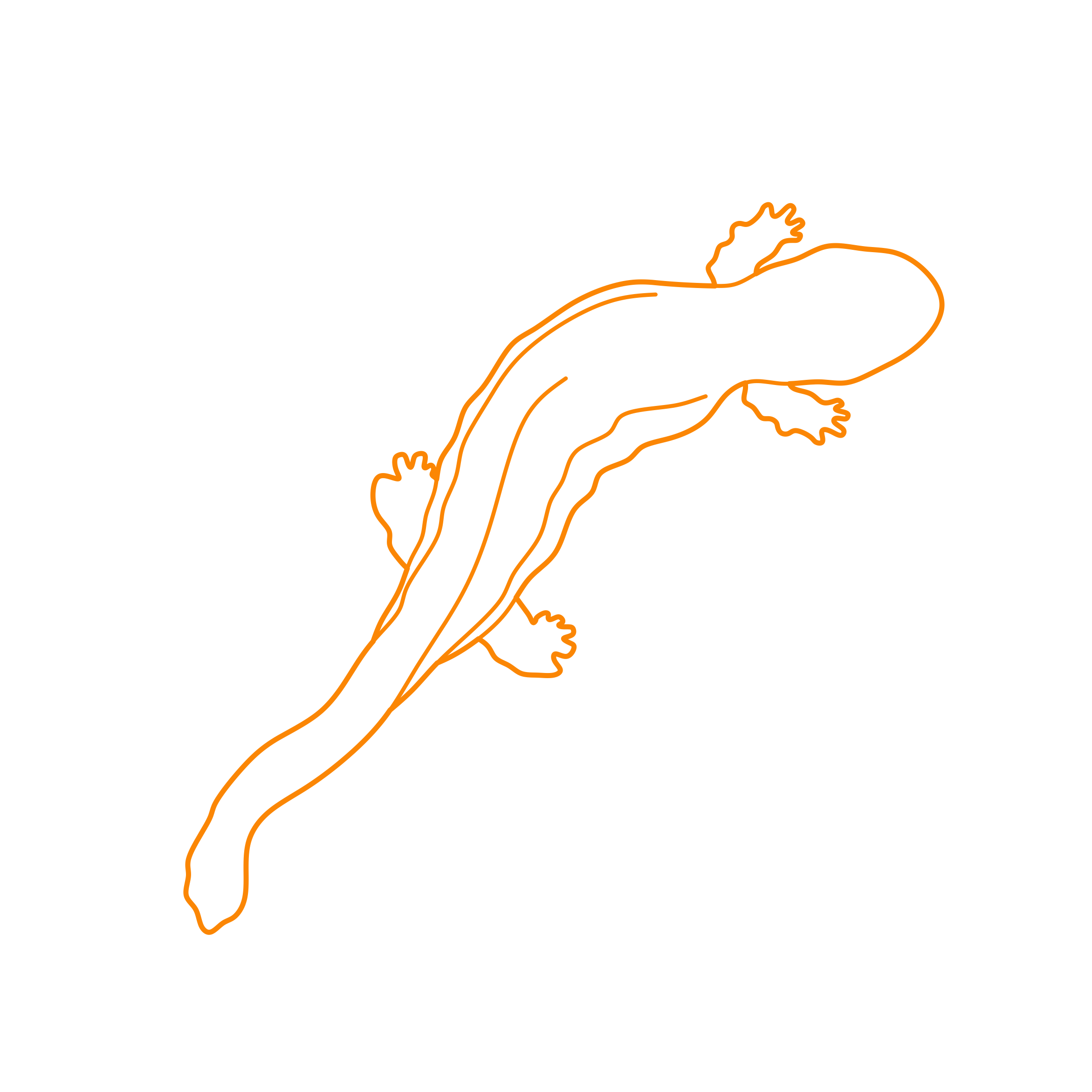 Animals Salamanders Eastern Hellbender Outline Drawing Svg Vector Free Vectors